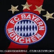 爱游戏体育-拜仁慕尼黑新援亮相：强化球队备战()